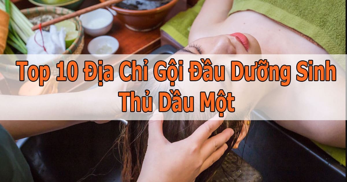 Top 10 Địa Chỉ Gội Đầu Dưỡng Sinh Thủ Dầu Một Được Yêu Thích Nhất 2026 Top 10 Địa Chỉ Gội Đầu Dưỡng Sinh Thủ Dầu Một Được Yêu Thích Nhất 2026